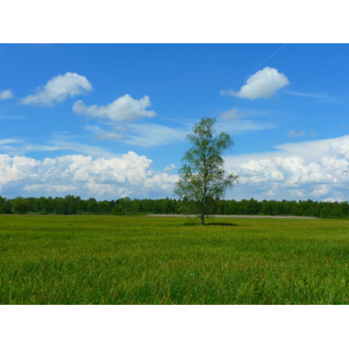 宮崎で蓄電池を設置しようと検討中の方ぜひ1度コトブキ光熱で見積りを！