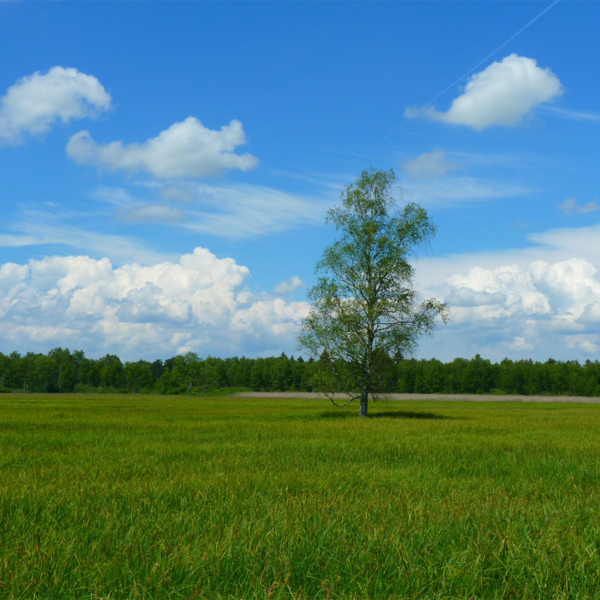宮崎で蓄電池を設置しようと検討中の方ぜひ1度コトブキ光熱で見積りを！