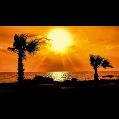 宮崎県都城市の皆様、太陽光発電の固定価格買取制度が間もなく終了します。