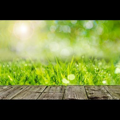 宮崎県の皆様、太陽光発電システムでお困りのことはありませんか？