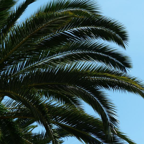 ２０２０年度　宮崎市の太陽光補助金が決定しました