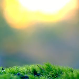 ２０２０年度住宅用蓄電池ＶＰＰ補助金について