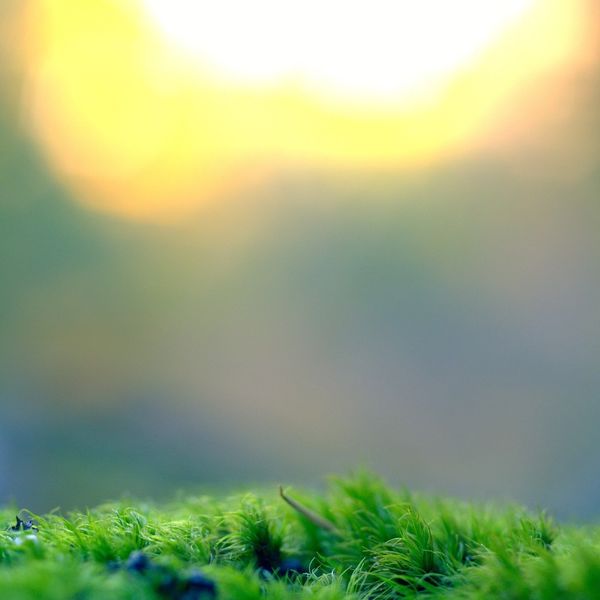 ２０２０年度住宅用蓄電池ＶＰＰ補助金について