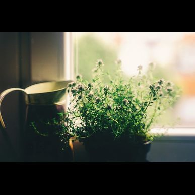 創業５０周年記念「エネブロック」特別キャンペーンのご案内