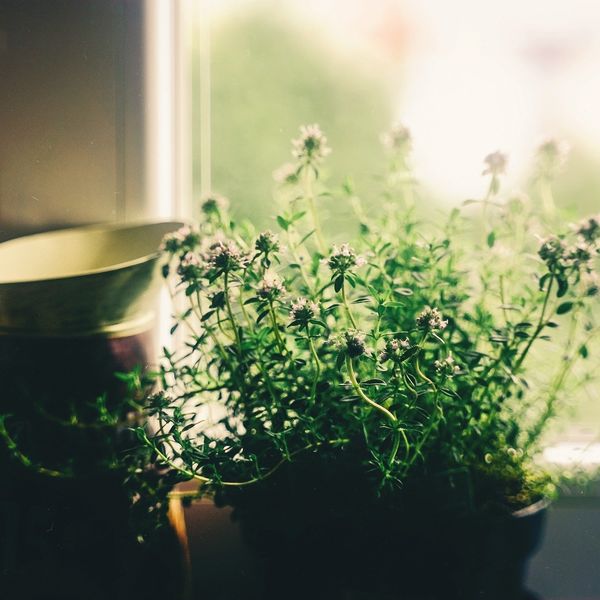 創業５０周年記念「エネブロック」特別キャンペーンのご案内