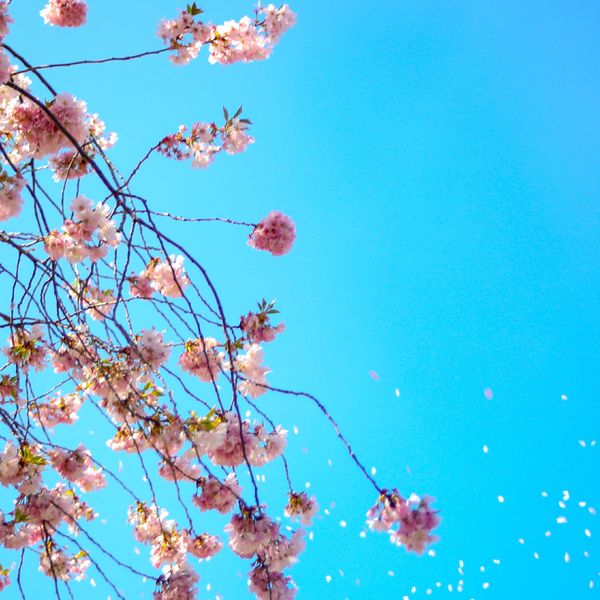 先着200台限り！エネブロック新発売キャンペーンのお知らせ