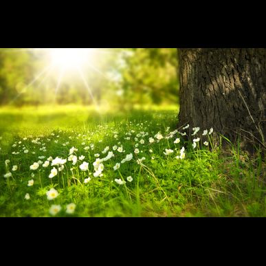 エネブロック新発売キャンペーン　４月末まで期間延長のお知らせ